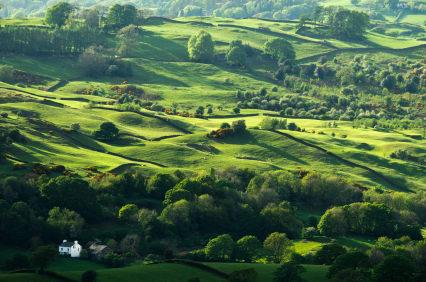 UK Land’s Benefits Like A Real Property to Buyers